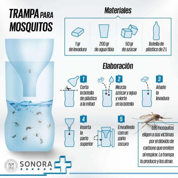 Trampa de Botella de Plástico y Levadura antimosquitos