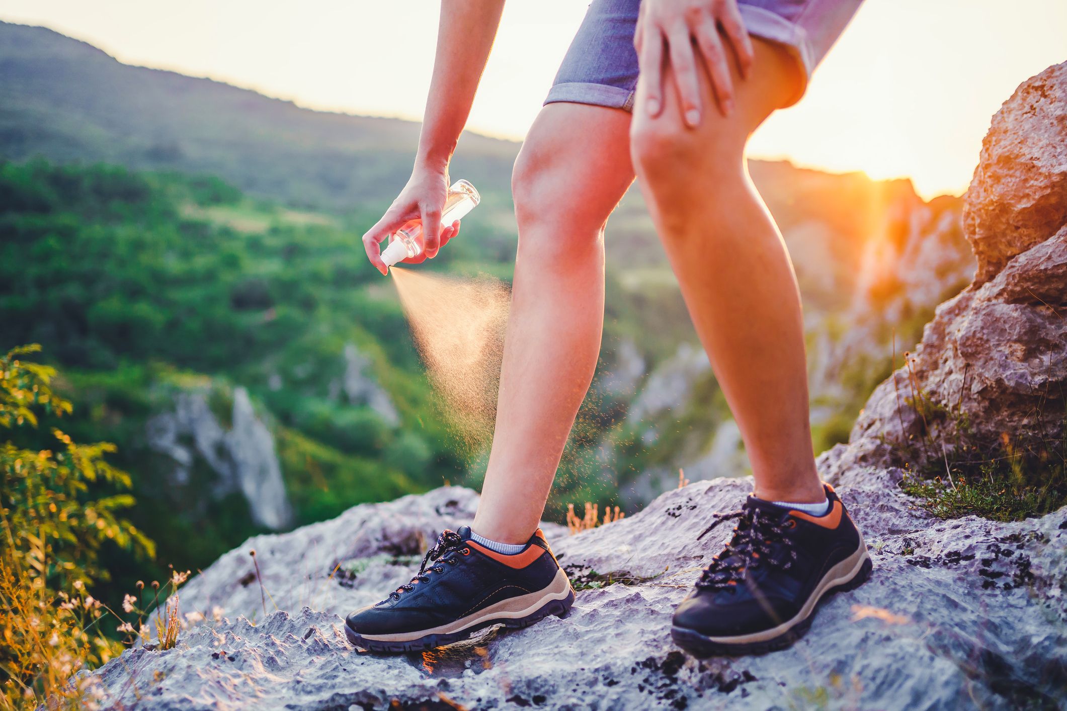 ¿Cómo Elegir el Mejor Repelente de Mosquitos para Excursionistas?